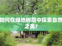 如何在綠地樹蔭中探索自然之美？