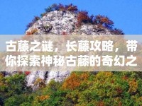 古藤之謎，長藤攻略，帶你探索神秘古藤的奇幻之旅！