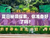 夏日秘境探索，你準(zhǔn)備好了嗎？