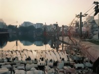 夢(mèng)幻手游最強(qiáng)輔助門(mén)派，如何助你馳騁三界？
