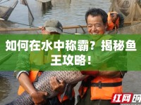 如何在水中稱霸？揭秘魚(yú)王攻略！