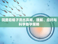 同房后精子流出真相，理解、應(yīng)對與科學(xué)備孕策略