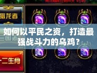 如何以平民之資，打造最強(qiáng)戰(zhàn)斗力的烏雞？