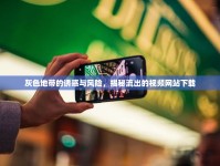 灰色地帶的誘惑與風險，揭秘流出的視頻網(wǎng)站下載