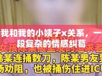 我和我的小姨子x關(guān)系，一段復(fù)雜的情感糾葛