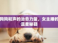 狗狗和聲的治愈力量，女主播的溫柔秘籍