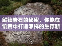 解鎖巖石的秘密，你能在饑荒中打造怎樣的生存新境界？