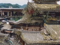 尋仙手游掛機刷坐騎攻略