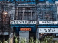合歡法寶，誅仙手游中的神秘力量，你掌握了嗎？