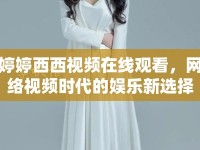 婷婷西西視頻在線觀看，網(wǎng)絡(luò)視頻時(shí)代的娛樂新選擇