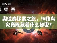 奧德賽探索之旅，神秘鳥究竟隱藏著什么秘密？