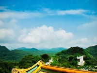 仙境傳說手游，浪漫牽手，你準(zhǔn)備好共赴夢(mèng)幻之旅了嗎？