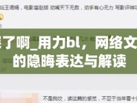 太深了啊_用力bl，網絡文化中的隱晦表達與解讀