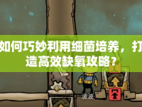 如何巧妙利用細(xì)菌培養(yǎng)，打造高效缺氧攻略？