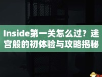 Inside第一關(guān)怎么過？迷宮般的初體驗與攻略揭秘！