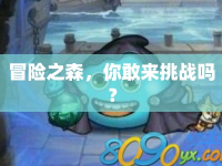 冒險之森，你敢來挑戰(zhàn)嗎？