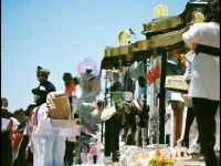 明星志愿手游，如何優(yōu)雅地踏上儀態(tài)滿(mǎn)分之旅？