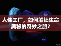 人體工廠，如何解鎖生命奧秘的奇妙之旅？