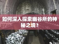 如何深入探索幽谷所的神秘之境？