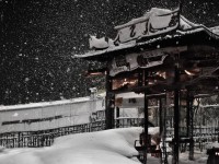 男人天堂2017，網(wǎng)絡(luò)熱議背后的文化現(xiàn)象
