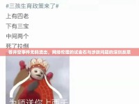 蒼井空事件無(wú)碼流出，網(wǎng)絡(luò)倫理的試金石與涉政問(wèn)題的深刻反思