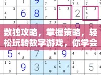 數(shù)獨(dú)攻略，掌握策略，輕松玩轉(zhuǎn)數(shù)字游戲，你學(xué)會(huì)了嗎？
