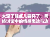 太深了輕點兒要壞了，網(wǎng)絡討論中的情感表達與邊界意識
