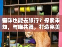 貓咪也能去旅行？探索未知，與喵共舞，打造完美貓咪出游攻略！