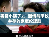 善良小姨子2，溫情與爭議并存的家庭倫理劇