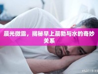 晨光微露，揭秘早上晨勃與水的奇妙關(guān)系
