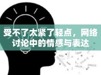 受不了太緊了輕點，網(wǎng)絡討論中的情感與表達