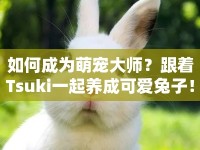 如何成為萌寵大師？跟著Tsuki一起養(yǎng)成可愛(ài)兔子！
