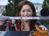 韓國女主播RT，網(wǎng)絡(luò)直播的魅力與挑戰(zhàn)