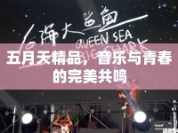 五月天精品，音樂與青春的完美共鳴