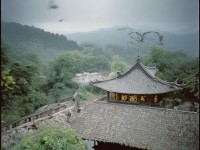 火影忍者手游，真的能完美還原忍者世界的熱血與羈絆嗎？