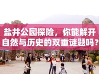 鹽井公園探險(xiǎn)，你能解開(kāi)自然與歷史的雙重謎題嗎？