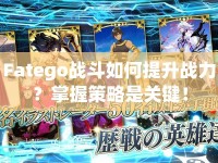 Fatego戰(zhàn)斗如何提升戰(zhàn)力？掌握策略是關(guān)鍵！