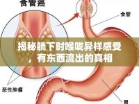 揭秘躺下時喉嚨異樣感受，有東西流出的真相