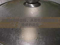 變蛋的奇妙旅程，從蛋殼裂縫到美味奇跡的誕生