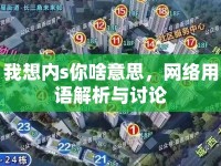 我想內(nèi)s你啥意思，網(wǎng)絡用語解析與討論