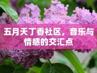 五月天丁香社區(qū)，音樂與情感的交匯點(diǎn)