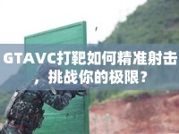 GTAVC打靶如何精準(zhǔn)射擊，挑戰(zhàn)你的極限？