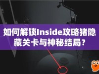 如何解鎖Inside攻略豬隱藏關(guān)卡與神秘結(jié)局？