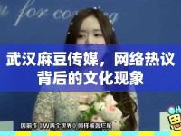 武漢麻豆傳媒，網(wǎng)絡(luò)熱議背后的文化現(xiàn)象