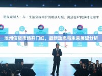 池州信貸市場開門紅，最新動(dòng)態(tài)與未來展望分析