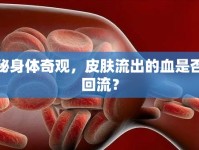 揭秘身體奇觀，皮膚流出的血是否會回流？