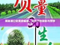 揭秘浦口安置房騙局，陽光下的陰影與警鐘長鳴