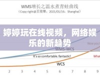 婷婷玩在線視頻，網(wǎng)絡(luò)娛樂的新趨勢(shì)