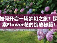 如何開啟一場(chǎng)夢(mèng)幻之旅？探索Flower花的綻放秘籍！