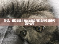 警惕，貓打噴嚏并流出膿鼻屎可能是潛在健康問(wèn)題的信號(hào)
